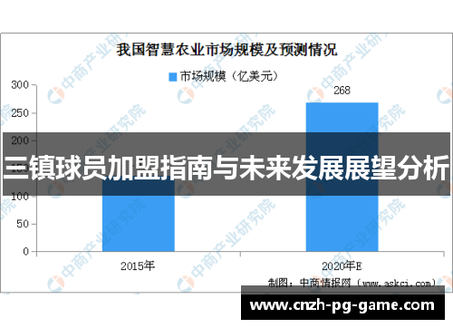 三镇球员加盟指南与未来发展展望分析