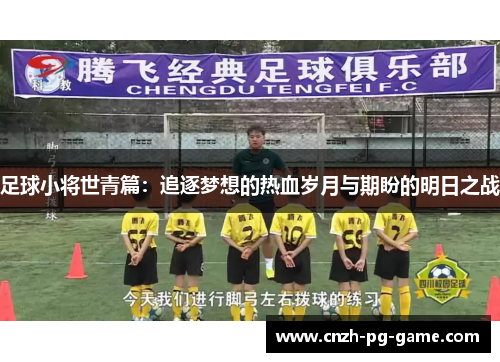 足球小将世青篇：追逐梦想的热血岁月与期盼的明日之战